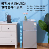 志高（CHIGO）小冰箱 冷藏冷冻双开门迷你电冰箱 节能保鲜低噪 BCD-66A148D 银色